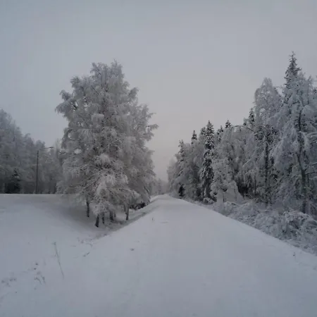 Riverside Rovaniemi