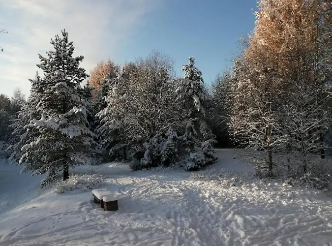 公寓 Riverside 罗瓦涅米