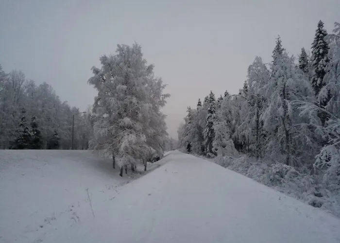 Riverside 罗瓦涅米